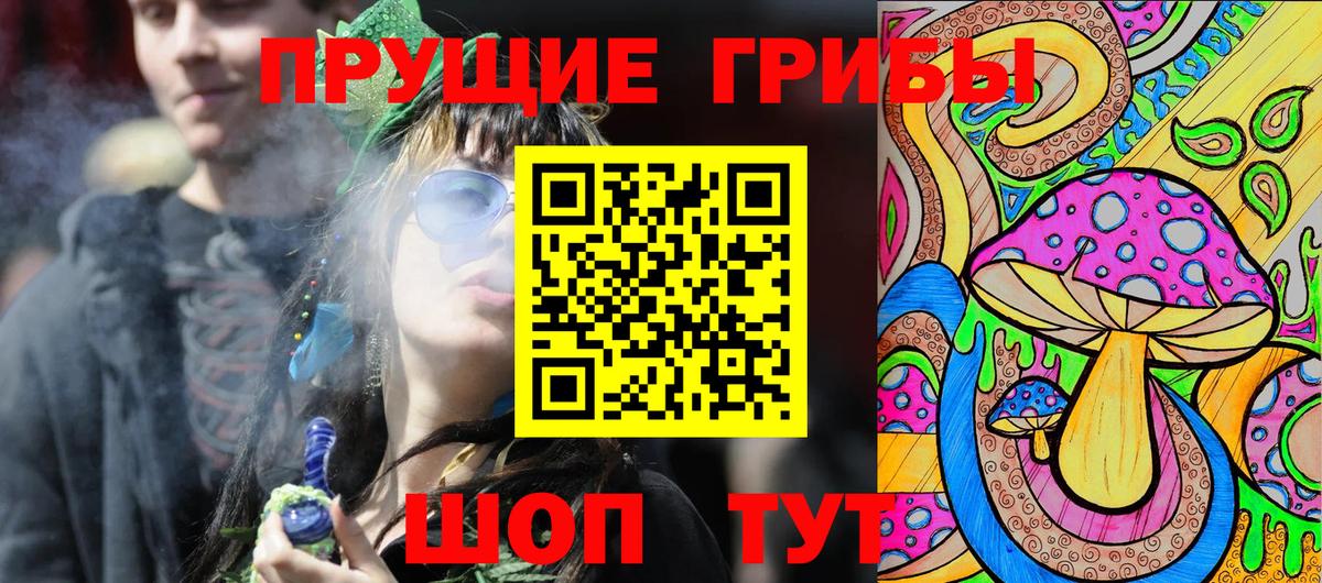 Псилоцибиновые грибы Cubensis  Вход с VPN  Псилоцибиновые грибы Psilocybe  Борзя 