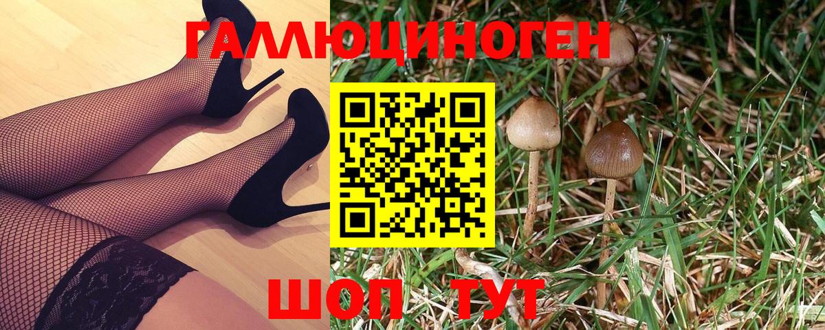 Псилоцибиновые грибы прущие грибы  Борзя 