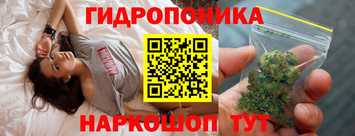 Конопля SATIVA & INDICA  Вход с VPN  Борзя  Марихуана планчик  Конопля индика 